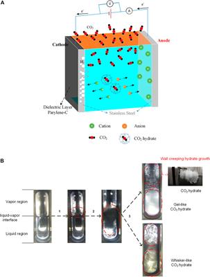 Influence of Direct Current–Voltage Accompanied by Charge Flow on CO2 Hydrate Formation